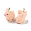 Flocky Acrylic Pendants FIND-A044-01I-2