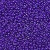MIYUKI Round Rocailles Beads SEED-X0054-RR0176-3