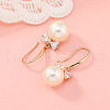 Chic Alloy Rhinestone Dangle Earrings BQ4899-2