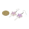 2 Pairs 2 Colors Star Resin Imitation Lollipop Dangle Earrings EJEW-JE06358-6