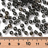 (Repacking Service Available) Glass Seed Beads SEED-C013-4mm-12-3