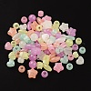 Luminous Transparent Acrylic Beads LACR-Q001-02-3