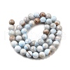 Natural Striped Stone Beads Strands G-D315-A01-01-12mm-3