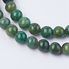 Natural African Jade Beads Strands G-F560-6mm-B01-3