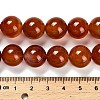 Dyed Natural Carnelian Beads Strands G-G203-10N-14mm-5