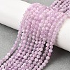 Natural Kunzite Beads Strands G-G259-D11-4mm-1