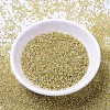 MIYUKI Delica Beads X-SEED-J020-DB1212-2