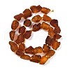 Raw Rough Natural Amber Beads Strands G-B125-C01-01-3