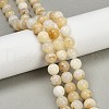 Natural Yellow Opal Beads Strands G-U026-A05-10mm-1