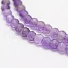 Natural Amethyst Beads Strands G-F460-50-3