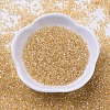 MIYUKI Delica Beads SEED-J020-DB0099-2