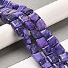 Natural Dolomite Beads Strands G-F765-C05-01-2