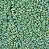 TOHO Round Seed Beads SEED-JPTR11-PF0570-2