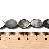 Natural Black Lip Shell Beads Strands BSHE-D300-02-10x14mm-4