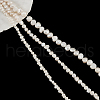  3 Strands 3 Styles Natural Cultured Freshwater Pearl Beads Strands PEAR-NB0002-09-1