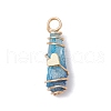 5Pcs 5 Styles Electroplated Natural Quartz Crystal Copper Wire Wrapped Pendants PALLOY-JF03429-3