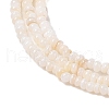 Natural Freshwater Shell Beads Strands SHEL-P017-01A-02-3