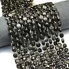 Natural Silver Obsidian Beads Strands G-C116-A55-02-1
