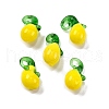 Fruit Food Glass Pendant X-RESI-U001-03A-1