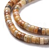 Natural Crazy Lace Agate Beads Strands G-P468-09-3