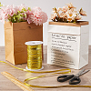 Gorgecraft 100M Polyester Ribbons with Spool SRIB-GF0001-34D-6