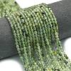 Natural Prehnite Beads Strands G-A260-A34-01-1
