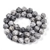 Natural Map Stone/Picasso Stone Beads Strands G-T141-03A-3