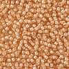 TOHO Round Seed Beads SEED-JPTR08-0955-2