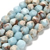 Dyed Natural Howlite Imitation Shoushan Stone Beads Strands G-G203-08F-2