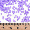 13/0 Glass Seed Beads SEED-T005-14A-A17-4