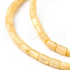 Natural Freshwater Shell Dyed Beads Strands SHEL-M018-12-01-3