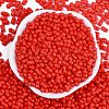 Baking Paint Glass Seed Beads SEED-K010-A12-3