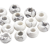 SOFPLATE 20Pcs Natural Howlite European Beads G-SP0001-01B-07-1