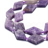 Natural Lepidolite Beads Strands G-K245-E02-02-3