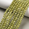 Natural Gemstone Beads GSR4MMC032-1