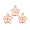 Zinc Alloy Enamel Pendants X-PALLOY-I124-10G-A-1-1