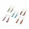 Gemstone Chips Beaded Dangle Earrings EJEW-JE04899-1