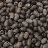 Transparent Colours Glass Seed Beads SEED-F006-03A-08-3