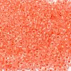 12/0 Transparent Glass Seed Beads X-SEED-F003-03C-11-3