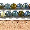 Natural Multi-Color Agate Beads Strands G-A261-B11-14mm-5