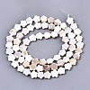 Natural Freshwater Shell Beads Strands SHEL-N027-02-2