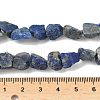 Raw Rough Natural Lapis Lazuli Beads Strands G-M453-D06-5