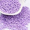 Baking Paint Glass Seed Beads X1-SEED-A033-05J-1