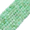 Natural Chrysoprase Beads Strands G-G106-C01-01-1