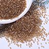 MIYUKI Delica Beads X-SEED-J020-DB1241-1