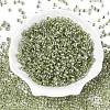 6/0 Transparent Inside Colours Glass Seed Round Beads X1-SEED-N006-004H-2