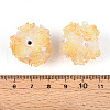 Resin Beads RESI-T059-04K-3
