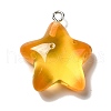 Marine Series Transparent Resin Pendants RESI-E031-02P-05-1