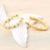 Brass Micro Pave Clear Cubic Zirconia Hoop Earrings EJEW-Z121-11G-3