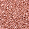 MIYUKI Delica Beads X-SEED-J020-DB1863-3
